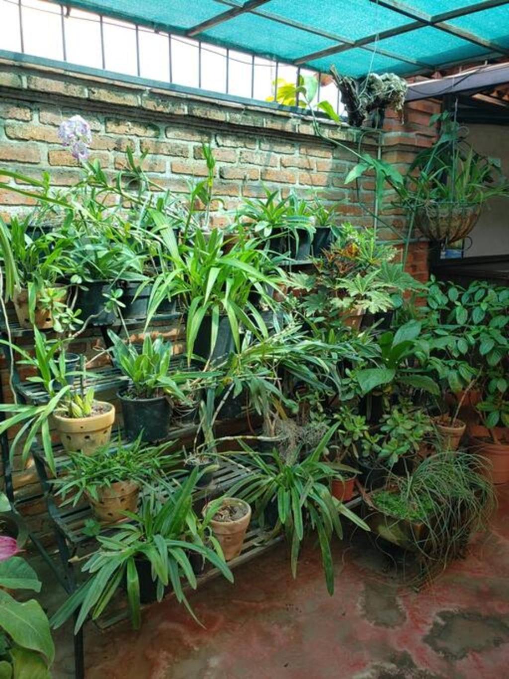 Enjoy Ac In The Penthouse At Inn Ajijic Exterior photo